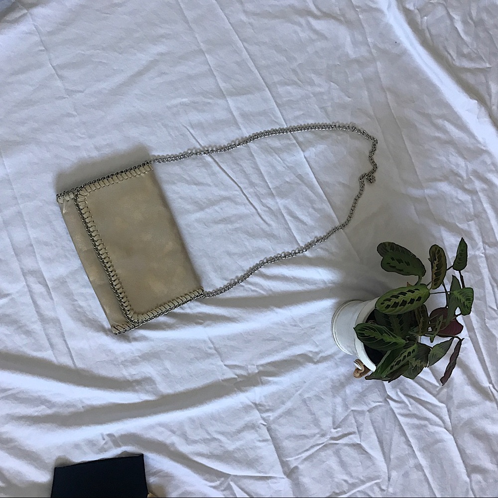 Subtle Metallic gold clutch with silver strap